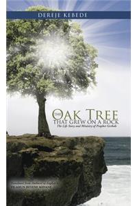 The Oak Tree that Grew on a Rock