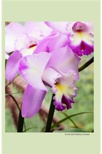 Orchid 2014 Weekly Calendar
