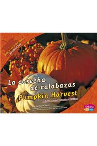 La Cosecha de Calabazas/Pumpkin Harvest