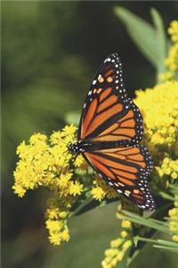 The Monarch Butterfly Journal