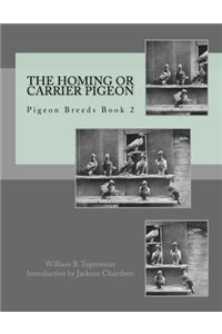 The Homing or Carrier Pigeon