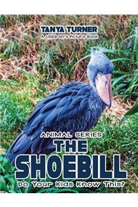THE SHOEBILL Do Your Kids Know This?