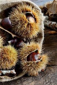 Chestnuts on a Wooden Table in Autumn Journal