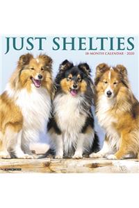 Just Shelties 2020 Wall Calendar (Dog Breed Calendar)