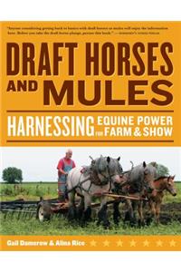 Draft Horses and Mules: Harnessing Equine Power for Farm & Show