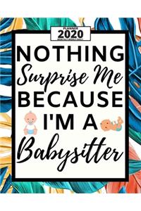 Nothing Surprise Me Because I'm A Babysitter