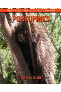 Porcupines