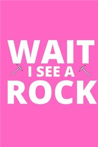 Wait I See A Rock