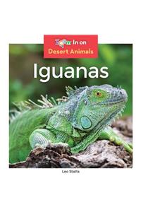 Iguanas