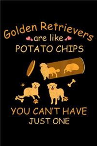 Golden Retrievers Are Like Potato Chips you can't have just one