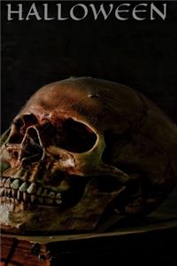Skull, Halloween Notebook, Memory Book to Write or Draw , 6x9, 100 Beautiful Pages, Notes, Journal, Memory Book