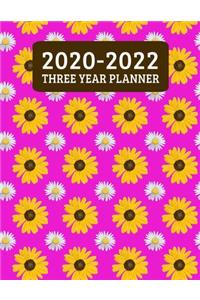 2020-2022 Three Year Planner