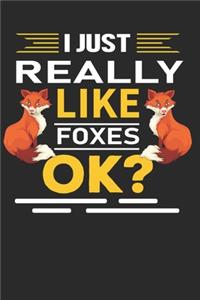 I just Really Like Foxes, Ok?