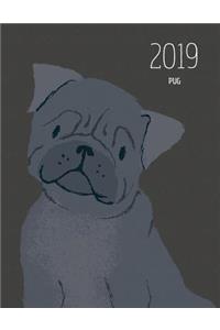 2019 Pug