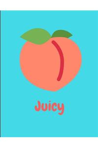 Juicy Peach Notebook Journal Aqua 150 College Ruled Pages 8.5 X 11
