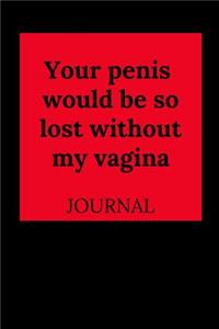 Your Penis Would Be So Lost Without My Vagina