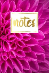Notes