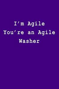 I'm Agile You're an Agile Washer