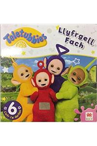 Teletubbies: Llyfrgell Fach