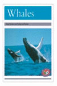 Whales PM Non Fiction Animal Facts Level 23&24 Polar Animals Silver