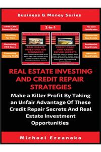 Real Estate Investing And Credit Repair Strategies (2 Books In 1)