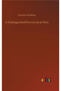 A Distinguished Provincial at Paris