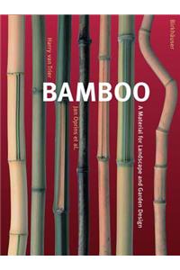 Bamboo