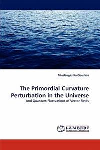 Primordial Curvature Perturbation in the Universe