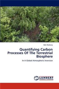 Quantifying Carbon Processes of the Terrestrial Biosphere