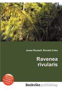 Ravenea Rivularis