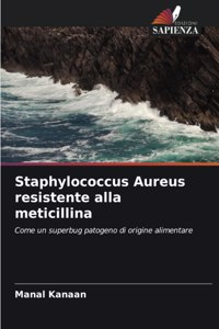 Staphylococcus Aureus resistente alla meticillina