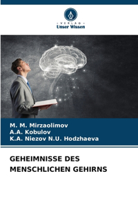 Geheimnisse Des Menschlichen Gehirns