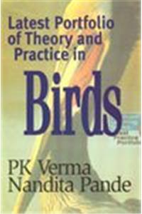 Latest Portfolio of Theory and Practice in Protochordata