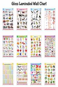 Pack of 12 Gloss Lamination English-Hindi charts:Alphabet, Fruits, Vegetables, Animals, Birds, Body Parts, Numbers, Multiplication, Hindi Varnmala, Shapes and Colours, Flowers and Vehicles | Learning chart for kids