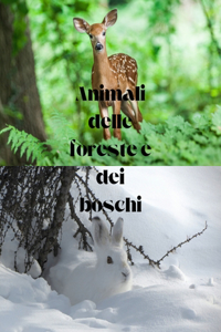 Animali delle foreste e dei boschi.