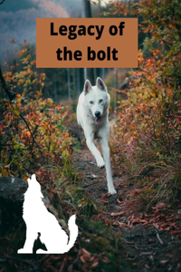 Legacy of the bolt