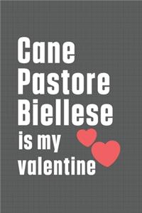 Cane Pastore Biellese is my valentine