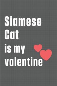 Siamese Cat is my valentine