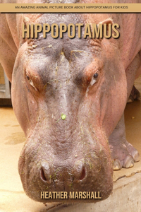 Hippopotamus