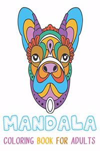 Mandala Coloring Book for Adults