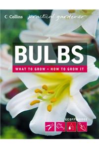 Bulbs What To Grow How To Grow It