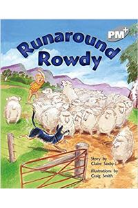 Runaround Rowdy PM PLUS Level 24 Silver