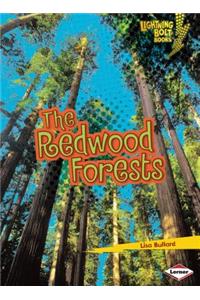 Redwood Forests