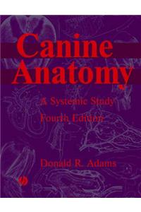 Canine Anatomy: A Systematic Study