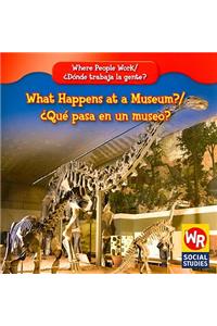 What Happens at a Museum? / ¿Qué Pasa En Un Museo?