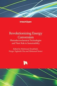 Revolutionizing Energy Conversion - Photoelectrochemical Technologies and Their Role in Sustainability