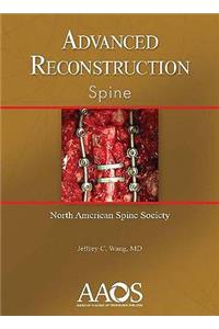 Advanced Reconstruction: Spine