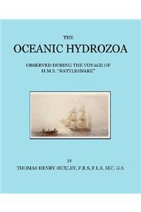 Oceanic Hydrozoa