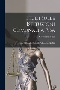 Studi Sulle Istituzioni Comunali a Pisa