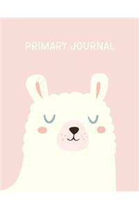 Primary Journal